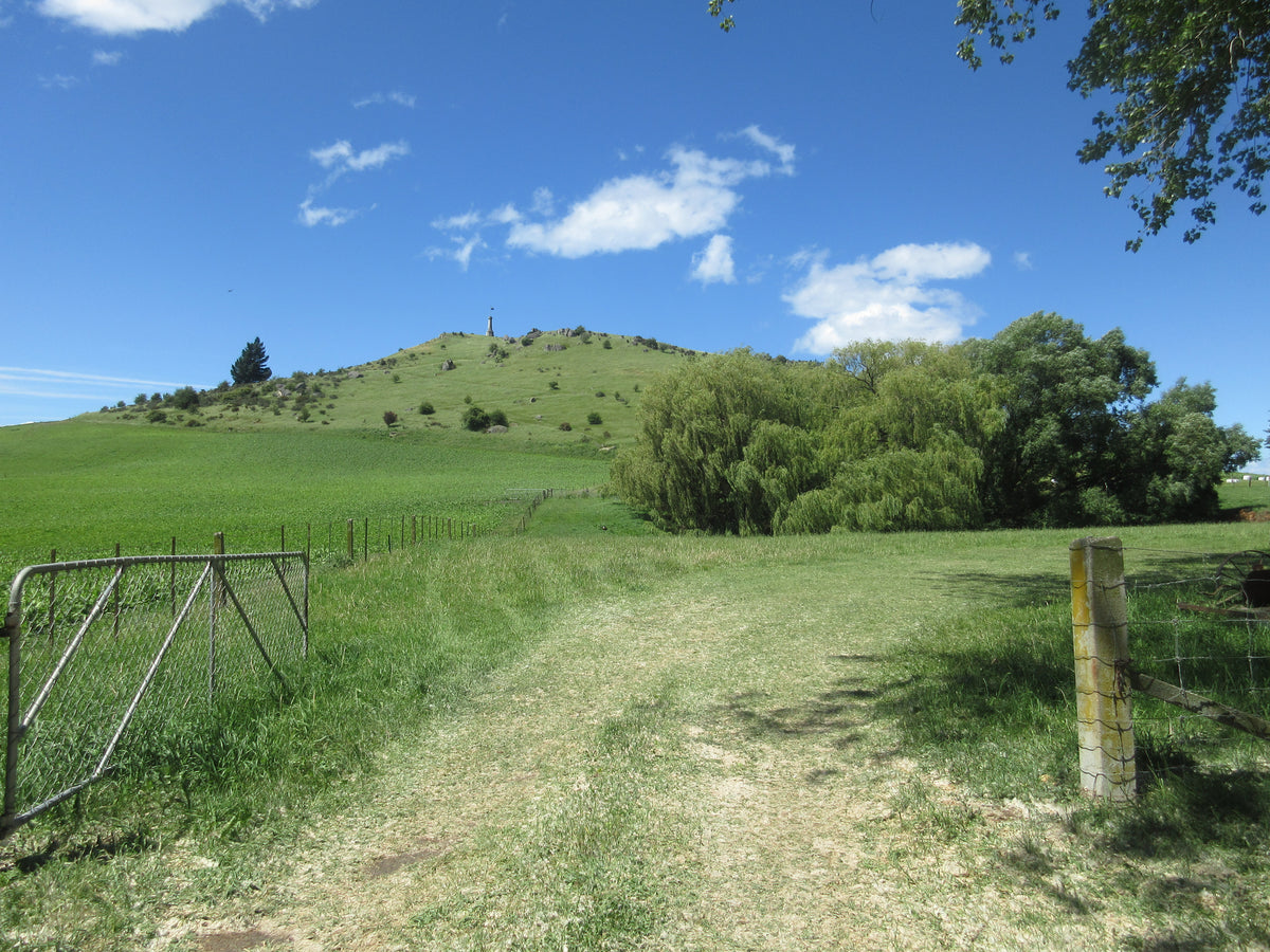 Totara Estate