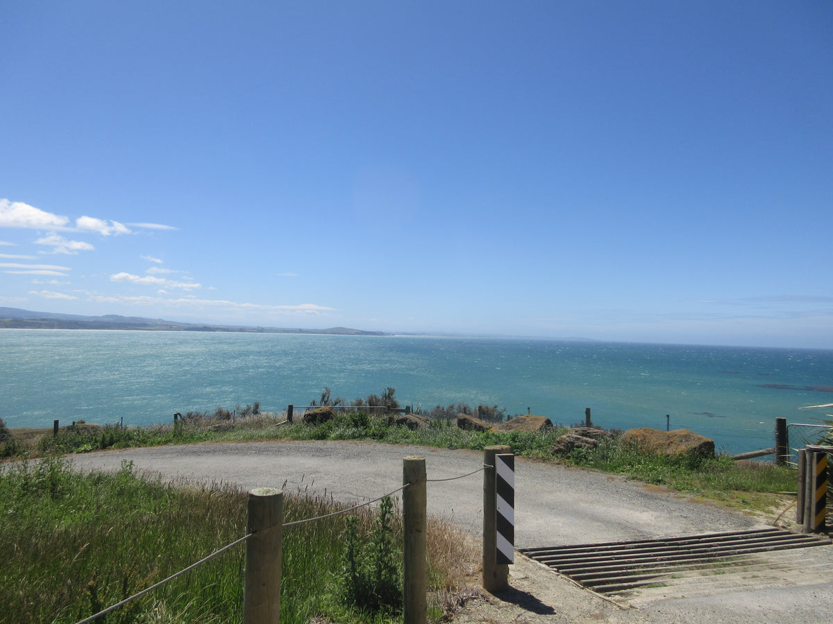 Millennium Walkway Moeraki