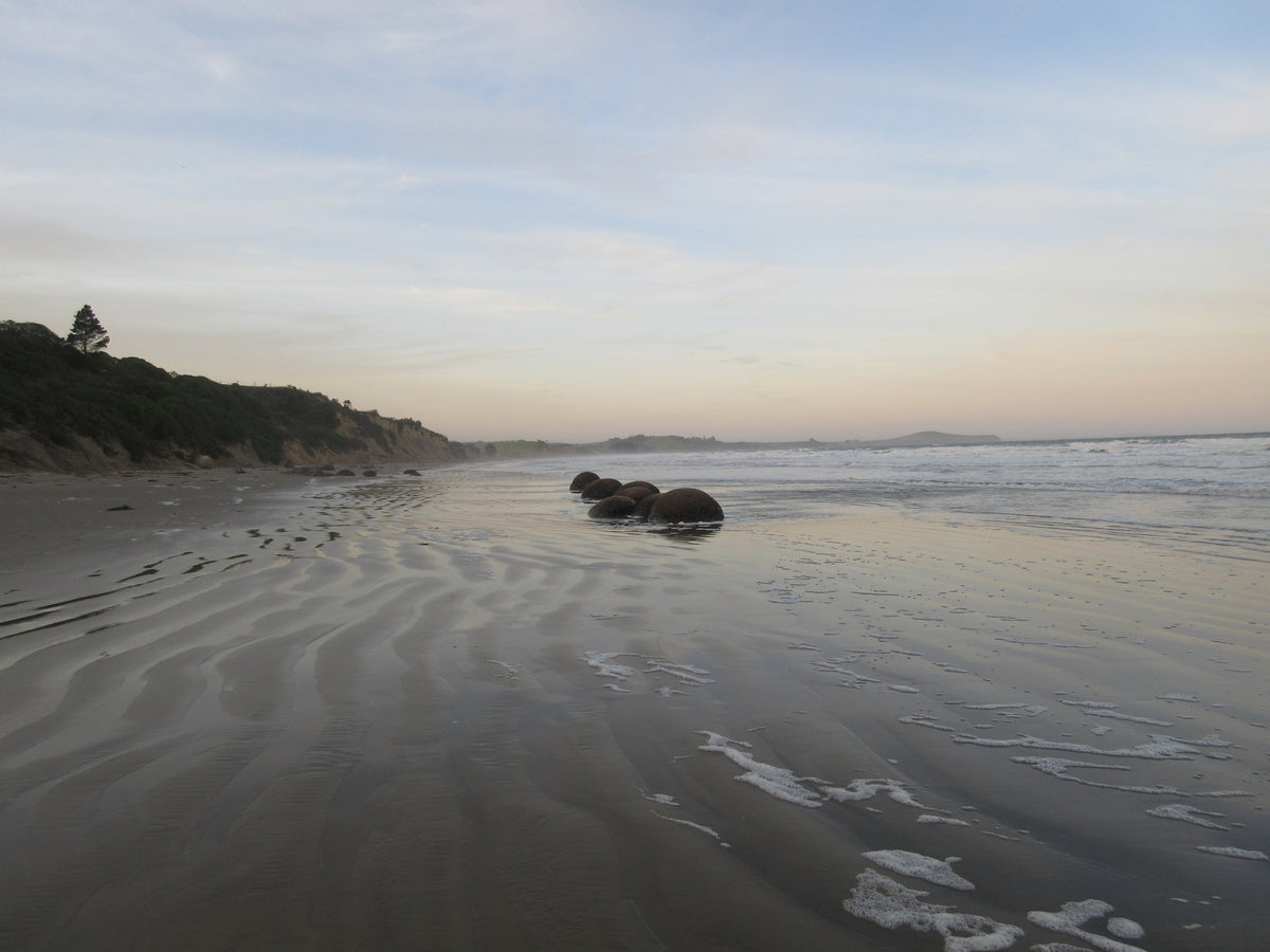 Moeraki Boulders Beach Walk