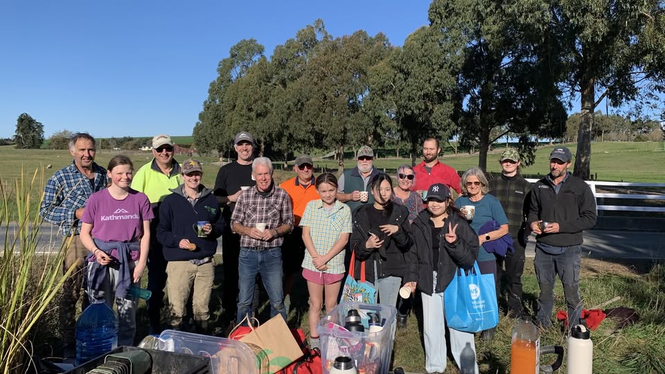 Volunteer Planting Session