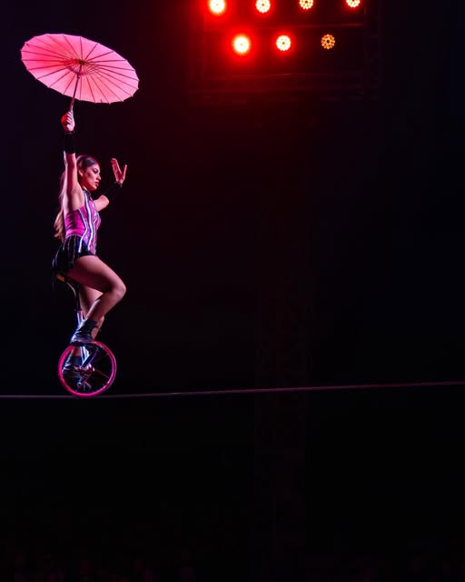 The Circus
