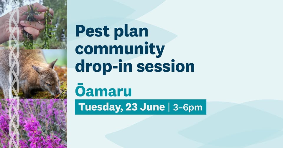 Pest plan community drop-in session (Ōamaru)