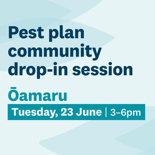 Pest plan community drop-in session (Ōamaru)