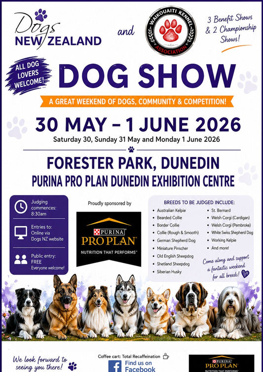 Dog Show
