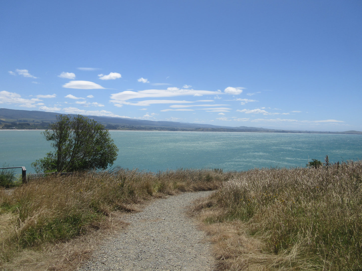 Millennium Walkway Moeraki