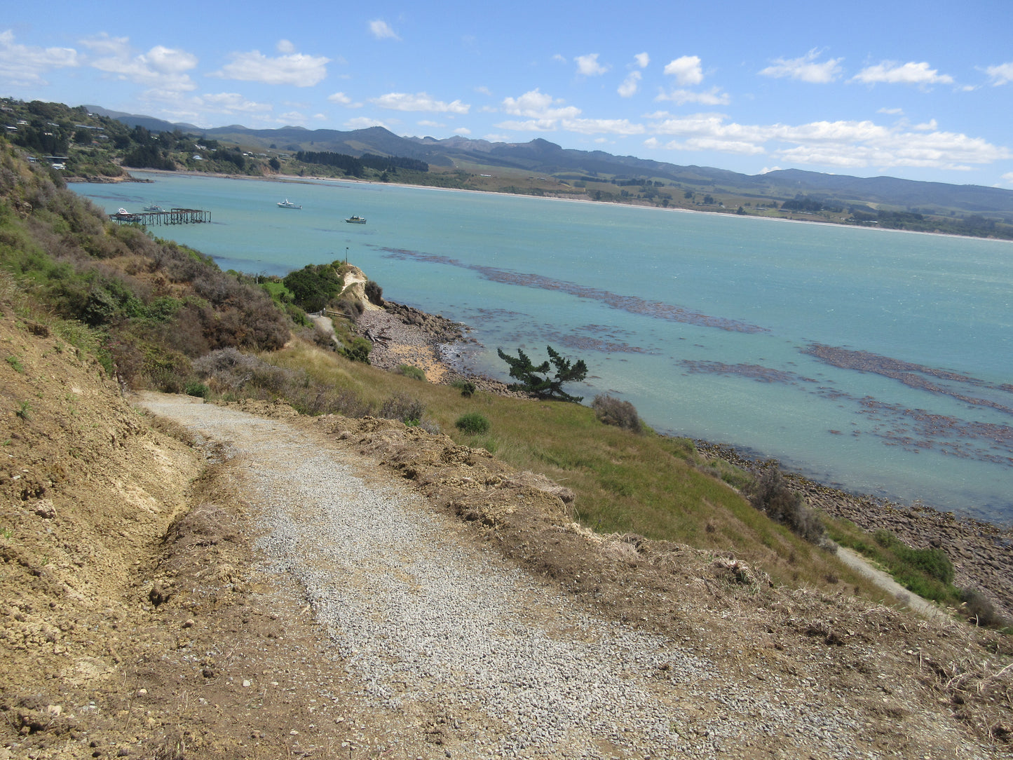Millennium Walkway Moeraki