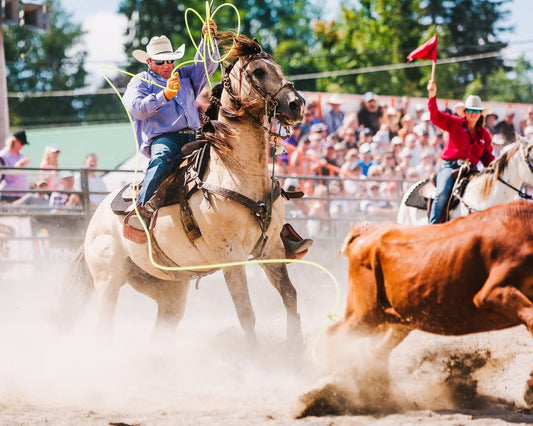 Winchester Rodeo