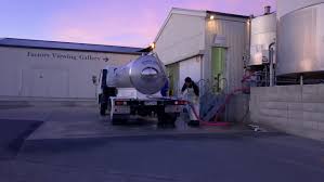 The Cheese Club - Whats on NZ