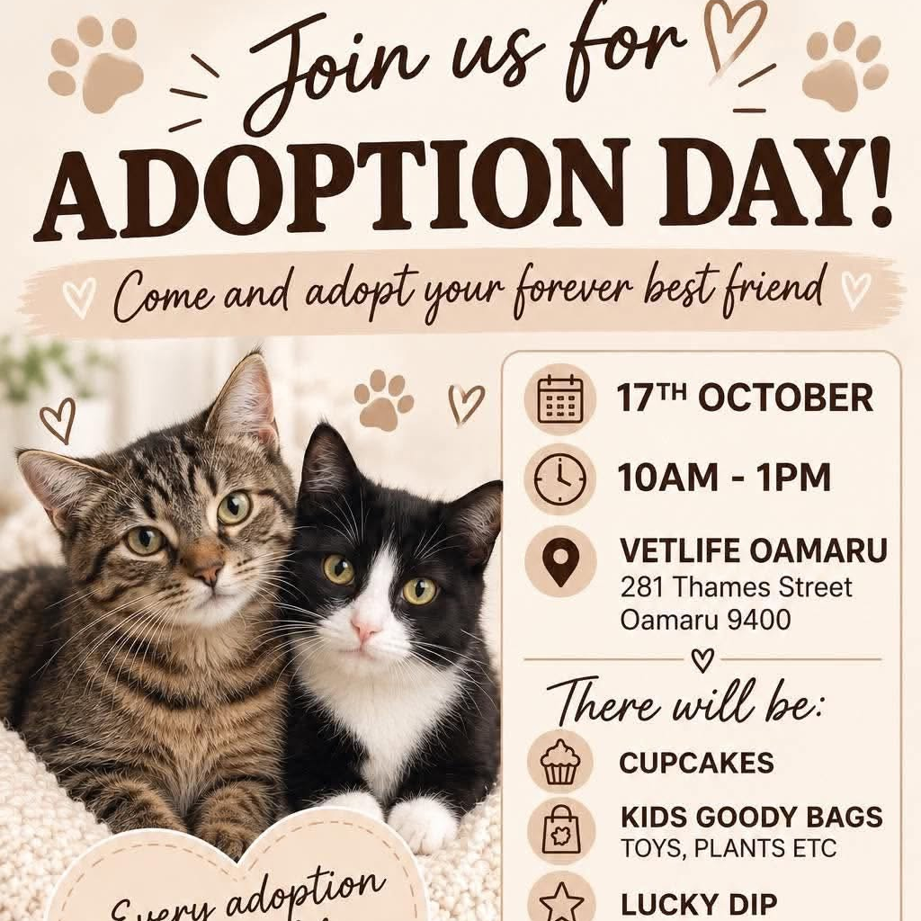 Adoption Day – Puss N Boots Kitty Rescue