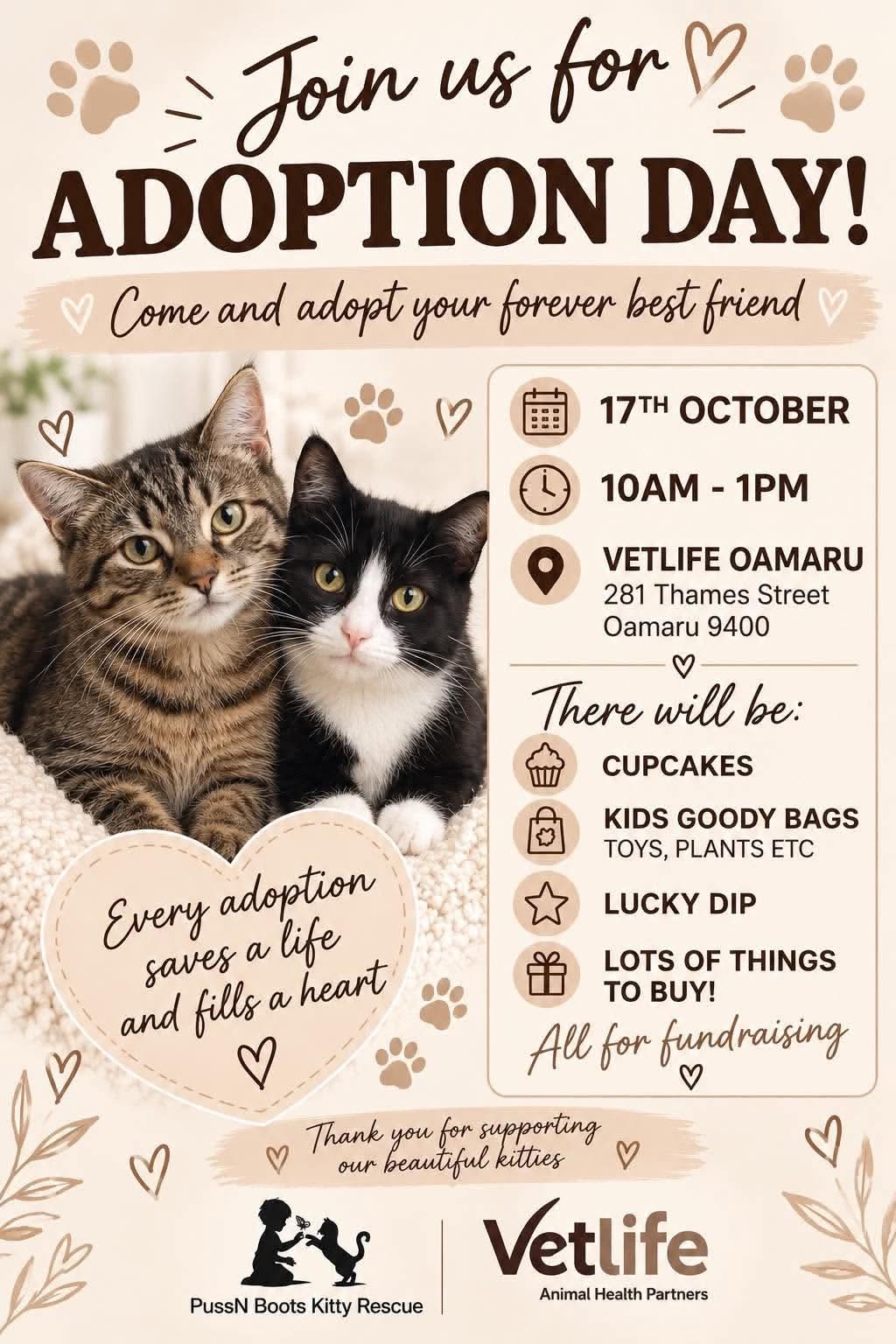 Adoption Day – Puss N Boots Kitty Rescue
