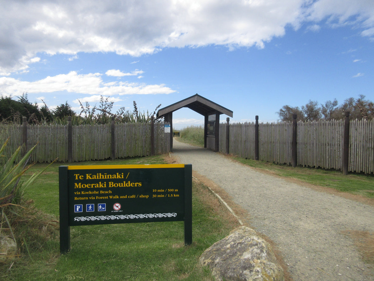 Moeraki Boulders Beach Walk