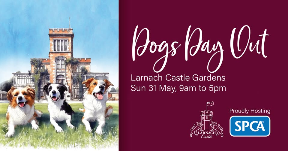 Dogs Day Out