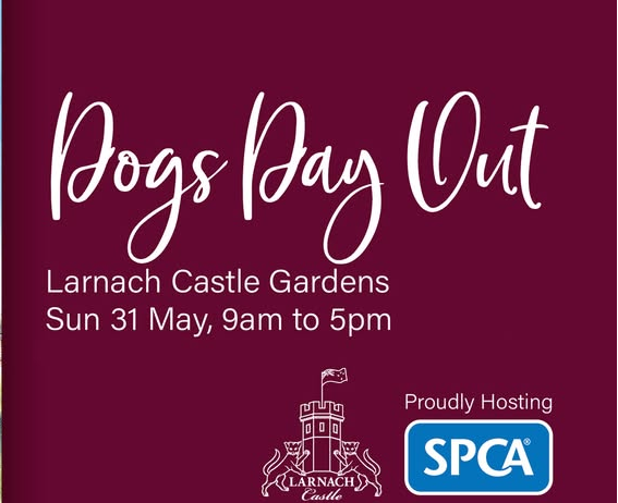 Dogs Day Out