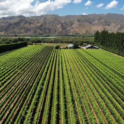 River T Winery